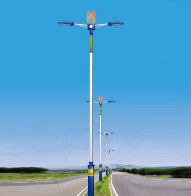 1742826618334021.jpg 阿克陶LED路灯.jpg